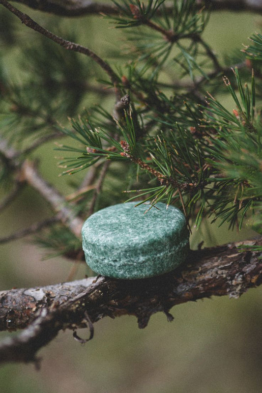 LA ESPIRULINA: El superalimento revolucionario de la nutrición